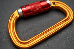 PETZL Carabiner SM'D TWIST-LOCK